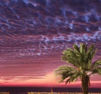 Al Wajh Hotel | فندق ماس الوجه