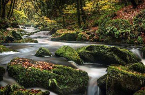 Looe House | 6 Streamside