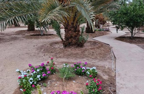 Mada'in Saleh Hotel | Almazham hotel room resort