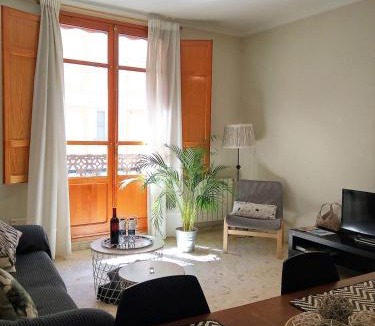 El Botanic Apartment | Apartamento céntrico Torres de Quart.