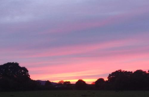 Stedham Bed & Breakfast | Appletrees B&B