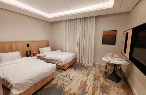 Ha'il Bed & Breakfast | Ayas Hotel