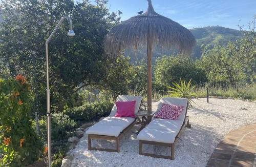 Alora Bed & Breakfast | B&B Sol y Monte