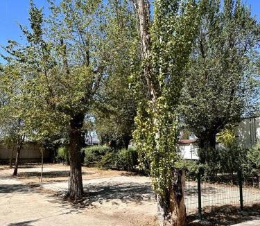 Getafe Other | Bungalows Alpha