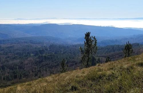 O Irixo House | Casa Carmiña: Casa para pequeños grupos en el corazón de Galicia