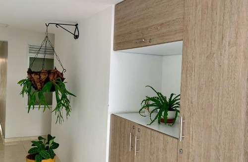 Campestre Apartment | Cavas AP