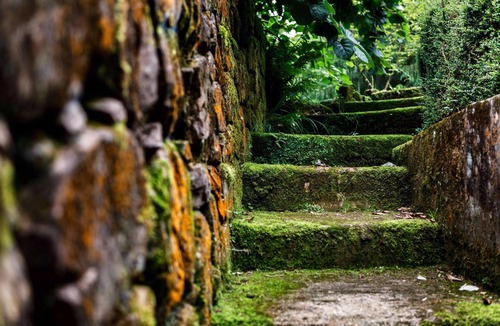 El Barcenal Cottage | Cottage-Private Bathroom-Garden view-La Coja