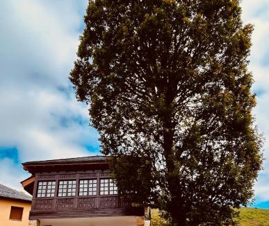 Oballo House | El Balcón De Muniellos
