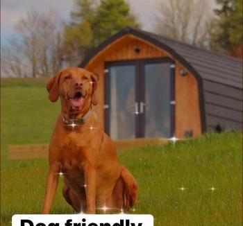 Bathgate Ski Chalet | Fox's Den