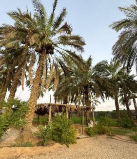 Al Kharj House | High garden