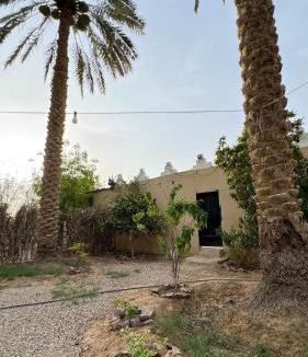 Al Kharj House | High garden