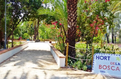 Oliva Apartment | Holiday apt offer