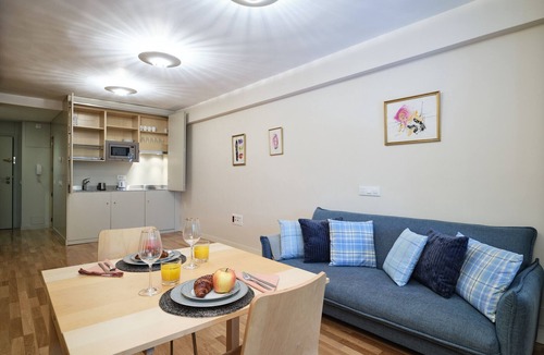 Castellana Apartment | Incredible apartment at Salamanca