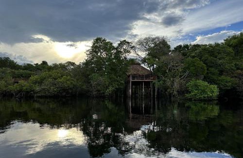 Careiro da Varzea Hotel | Juma Amazon Lodge