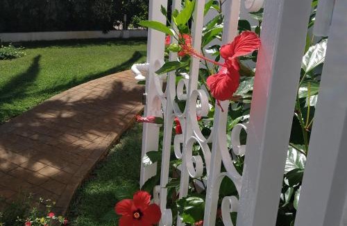 Les Deveses House | La casa de Sara