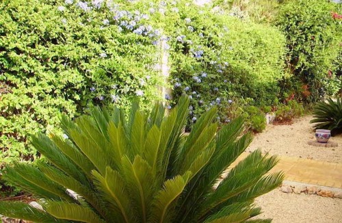 Javea Villa | Magnificent villa with sea view and swimming pool (VT-447382-A)
