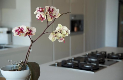 Mijas Ski Chalet | Mijas Villa La Filomena