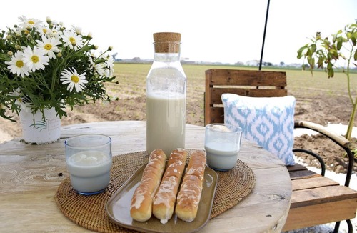 Almassera House | No need for a car! A stylish Rustic Escape in a distinct rural location!