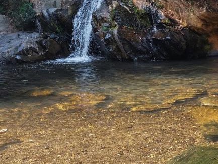 Sao Sebastiao das Aguas Claras Hotel | Pousada Canto Da Lua - Macacos