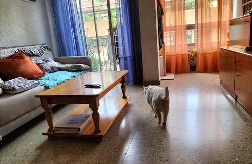 Sant Antoni Resort | Private room ∙ 2 guests