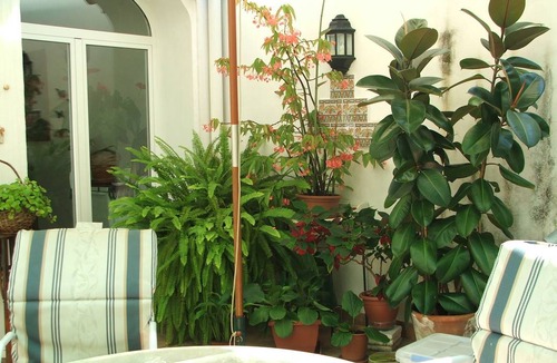 Oliva Old Town Resort | Private room ∙ 2 guests
