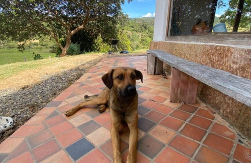 Tinjaca House | Rivera Campestre