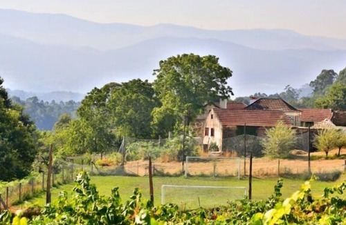 A Caniza Cottage | Stone house next to a vineyard for 2 people. Pets welcome.