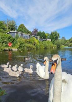 Bont Newydd Ski Chalet | Summit Rest