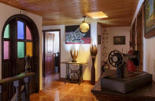 Iza House | Tonsuca