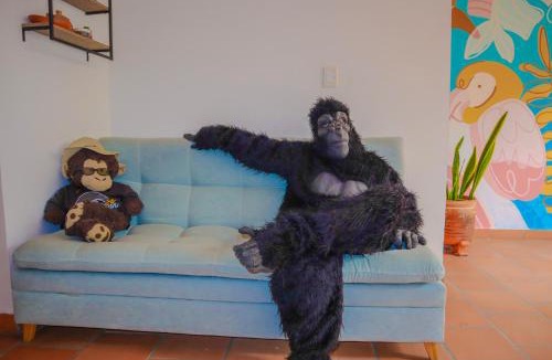 San Gil Hotel | Trip Monkey Origen