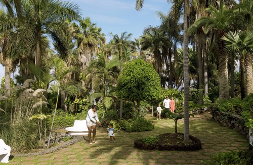 Los Realejos Apartment | Vacation apartment/apartment for 2 guests with 40m² in Puerto de la Cruz (84057)