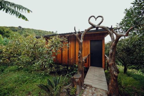 Glamping Malu