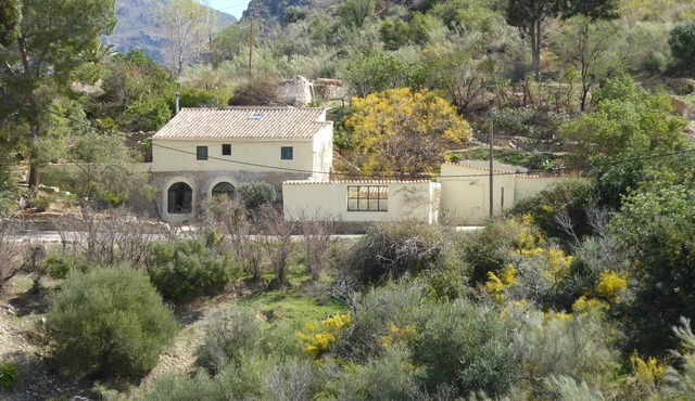 Property Image