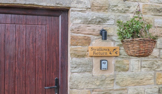 Swallows Return