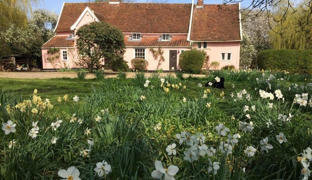 Toad Hall