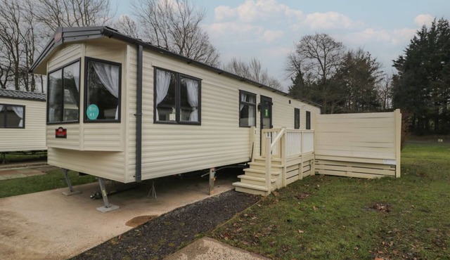 Woodlands Gold (WO 41), Ruthin