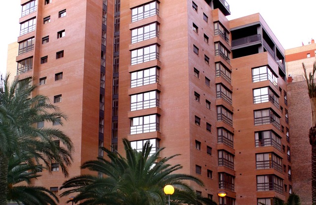 Apartamentos Plaza Picasso