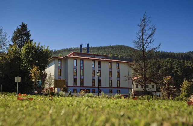 Hotel Balneario Areatza 