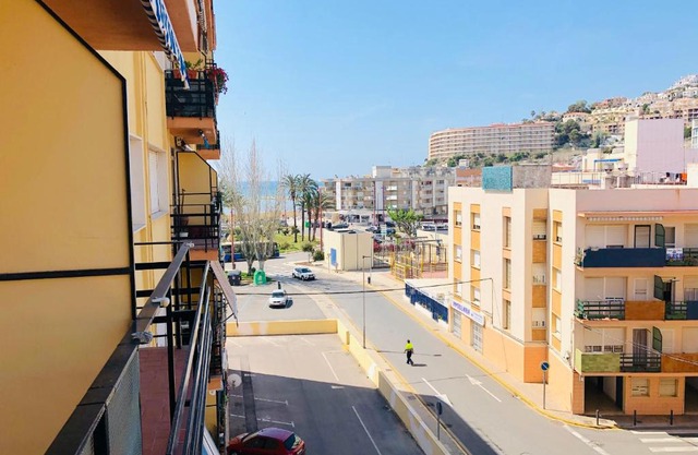 LABRADORES CENTRO