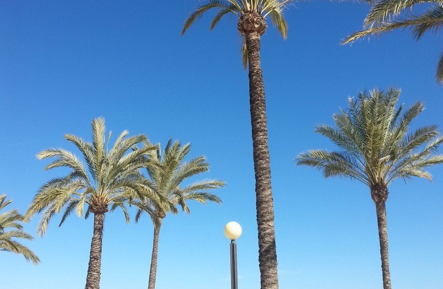 Lovely BEST LOCATION, SUNNY Penthouse, CENTRAL HEATED, AIRCO, WIFI, BEACH, POOL