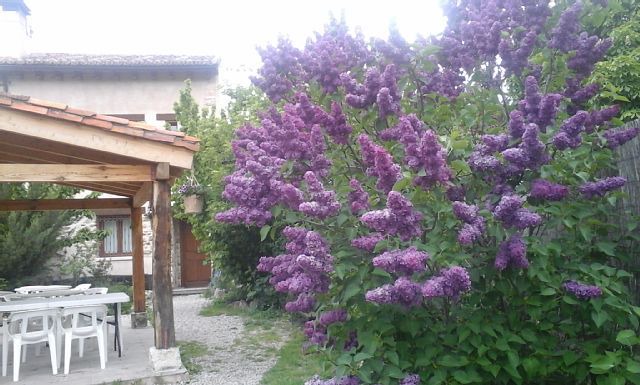 Rural apartment El Refugio de la Sauca for 4 people