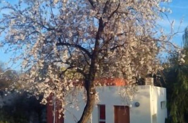 Self Catering Cottage La Aldea People 