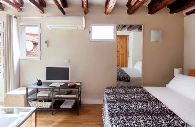 Singular studio in Puerta del Sol