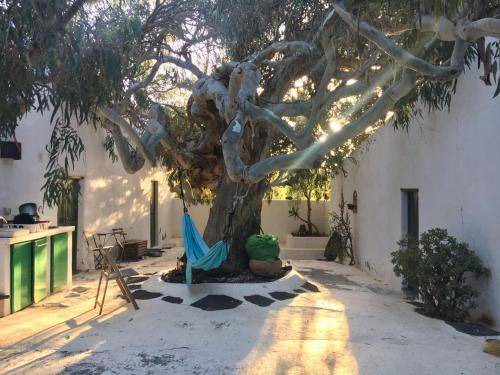 La Asomada Bed & Breakfast | 20 m² Bed and breakfast ∙ 2 guests