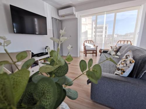 Coveta Fuma Apartment | Adelmar