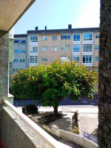 Photo of Others in Fonteculler