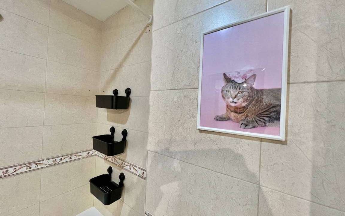 Photo of Bathroom in Alcala de Henares