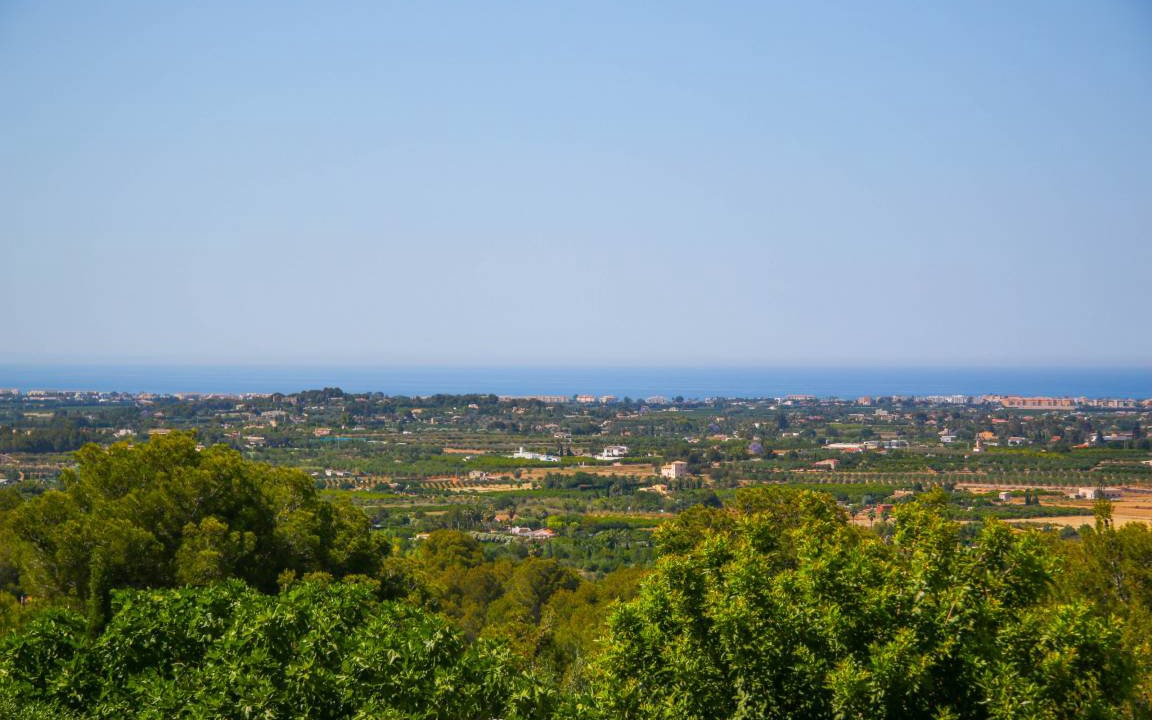 Photo of Others in Pedreguer