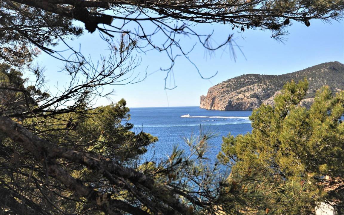 Photo of Others in Camp de Mar
