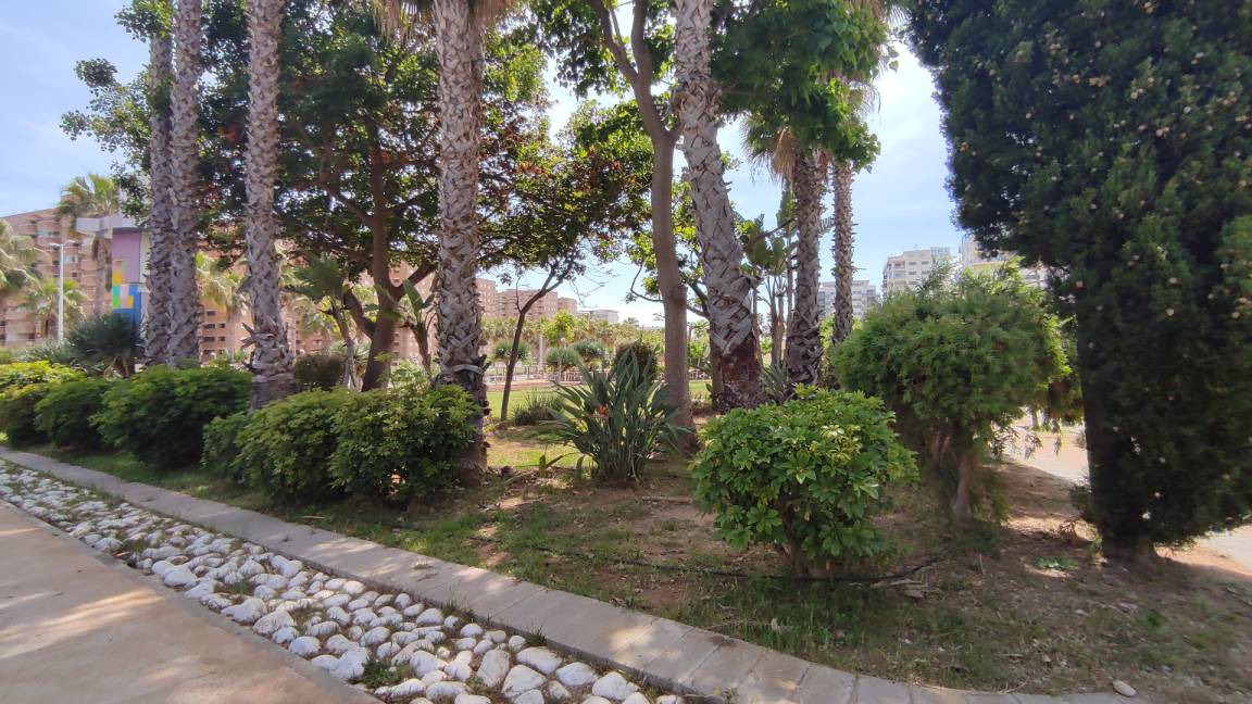 Photo of Others in Marina d'Or